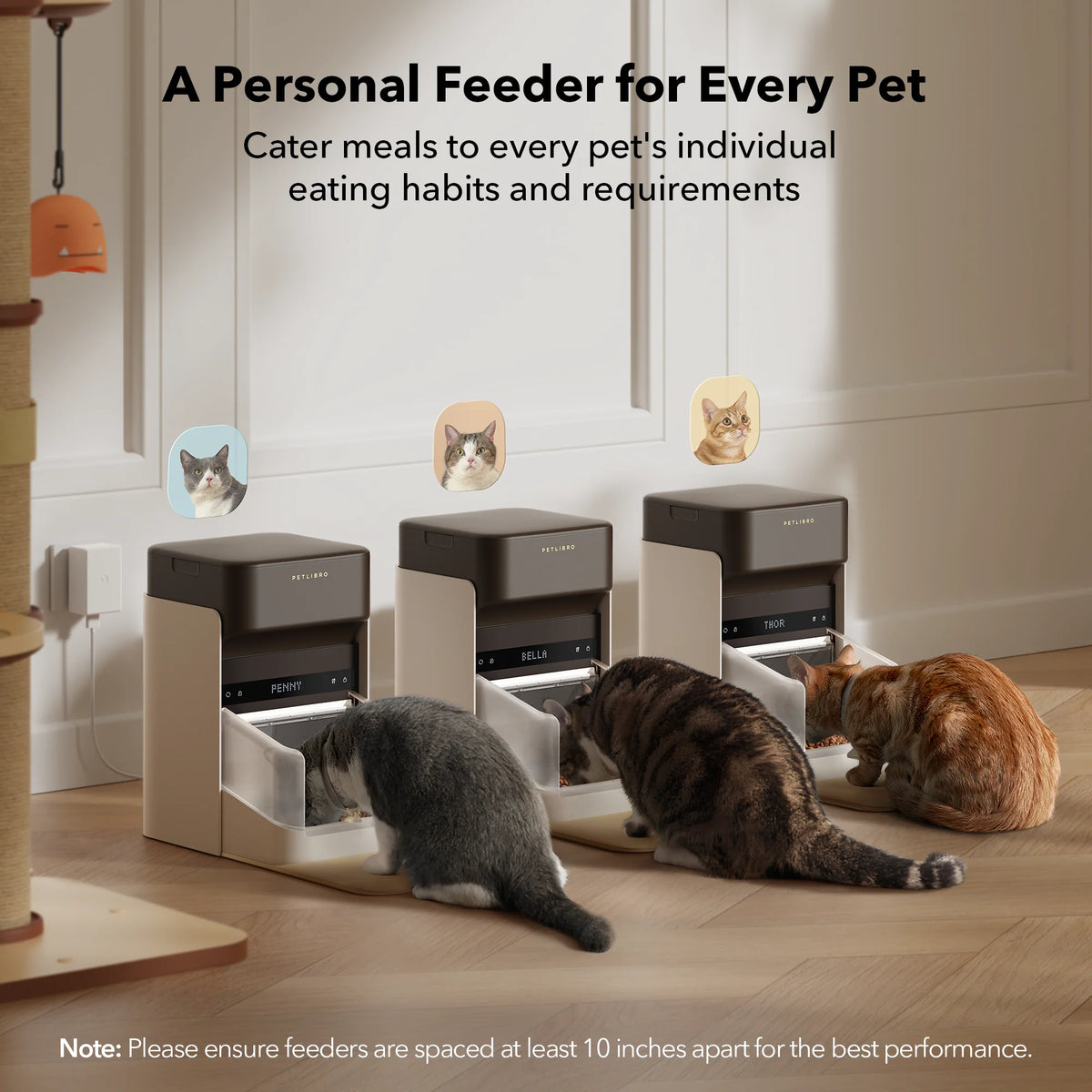Multi-Pet Care — Personalized Bundle