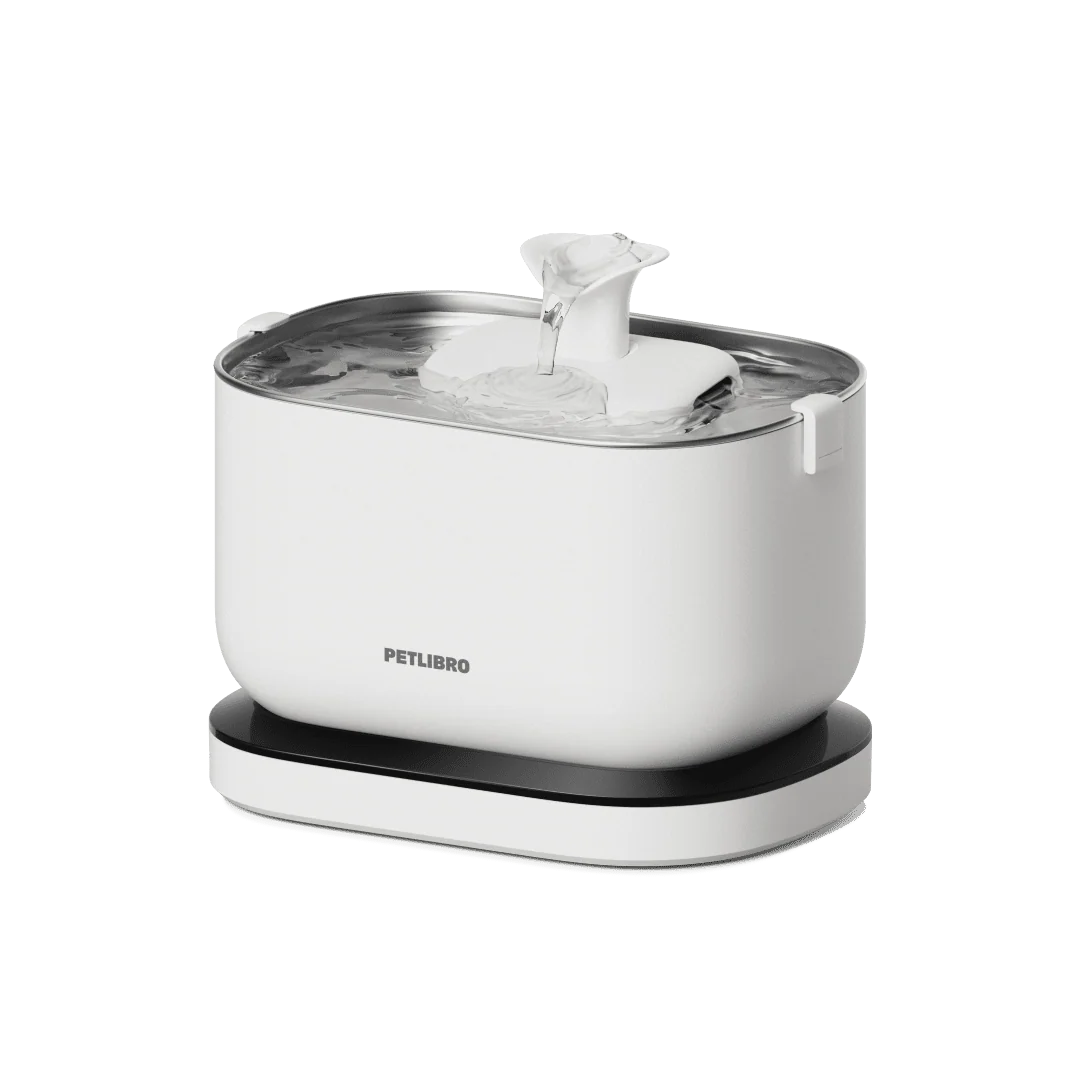 Dockstream Cordless Fountain