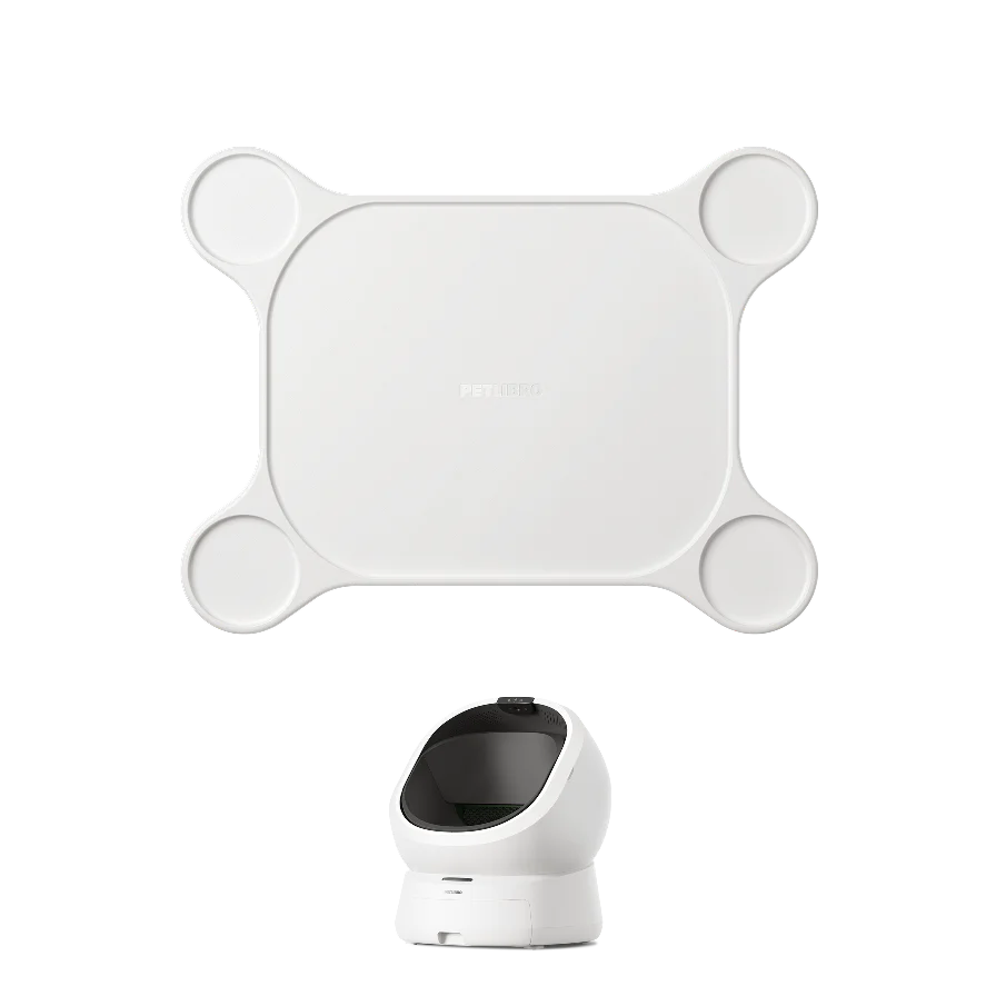 Luma Carpet Stability Base
